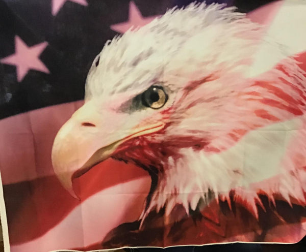 Eagle & Flag  Panel 106096